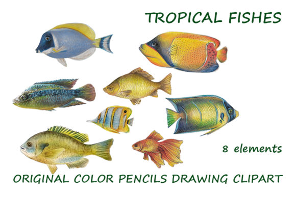 Tropical Fishes Clipart: Hand-Drawn Design Elements