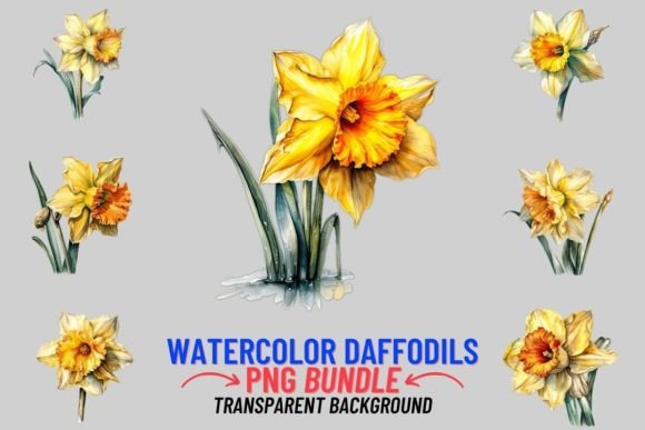 Watercolor Daffodils 12 PNG Clipart: Springtime Design Assets
